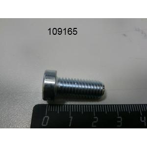 Дверь камеры 6.x правосторонняя для FKECOD615T0007 MKN 109165